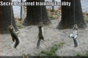 Secret squirrels...